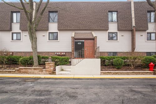 435 Elm Unit 4-I, Deerfield, IL 60015