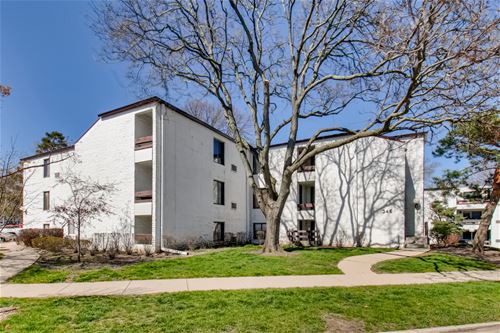 346 W Miner Unit 3A, Arlington Heights, IL 60005