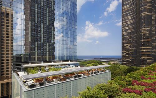 500 N Lake Shore Unit 3005, Chicago, IL 60611