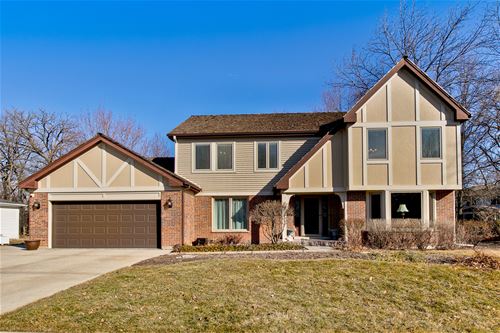 218 Alpine, Lake Zurich, IL 60047