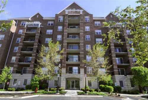 390 W Mahogany Unit 303, Palatine, IL 60067