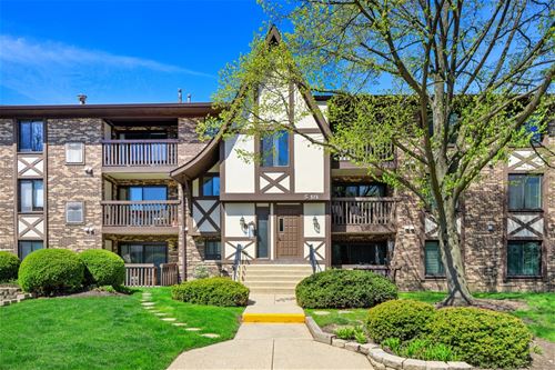 525 Cumnor Unit 304, Westmont, IL 60559