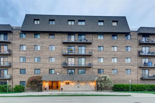 960 S River Unit 311, Des Plaines, IL 60016