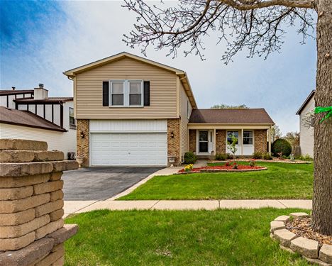 944 Wilma, Elk Grove Village, IL 60007