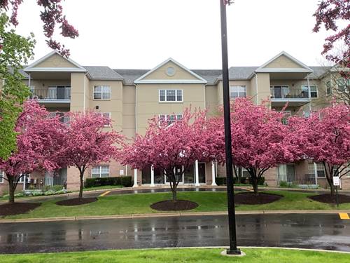 13750 Bristlecone Unit 212, Plainfield, IL 60544