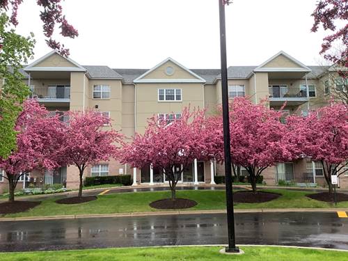 13750 Bristlecone Unit 212, Plainfield, IL 60544