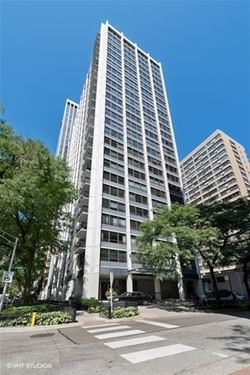 222 E Pearson Unit 1105, Chicago, IL 60611