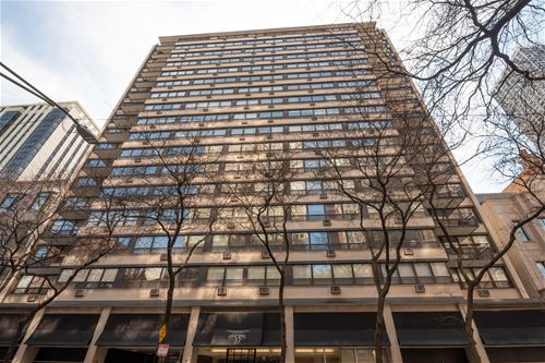 33 E Cedar Unit 17E, Chicago, IL 60611