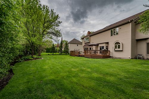 727 Mesa, Naperville, IL 60565