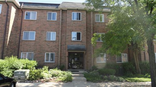 909 Casey Unit 6, Schaumburg, IL 60173