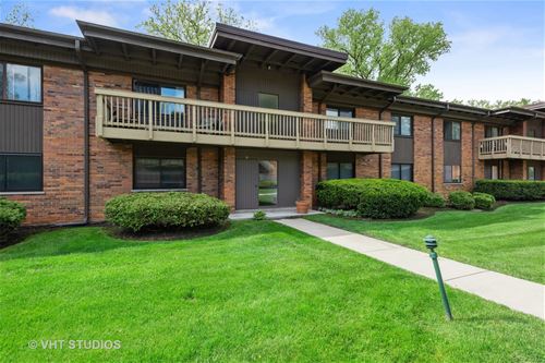 481 Duane Unit B1, Glen Ellyn, IL 60137