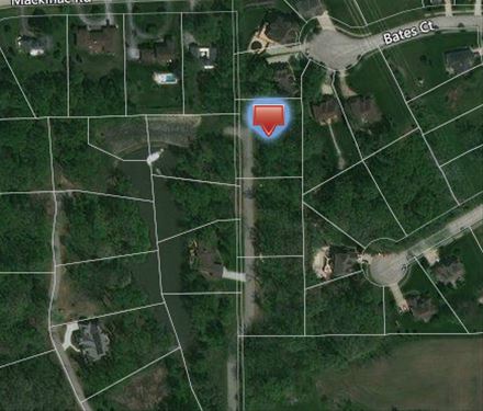 Lot 13 Spaniel Lake, Homer Glen, IL 60491