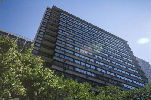 33 E Cedar Unit 12B, Chicago, IL 60611