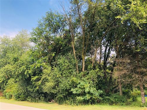 Lot 16 Ray, West Chicago, IL 60185