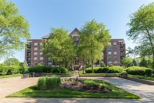 440 W Mahogany Unit 306, Palatine, IL 60067