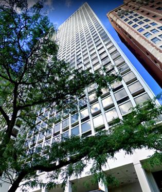 1110 N Lake Shore Unit 36S, Chicago, IL 60611