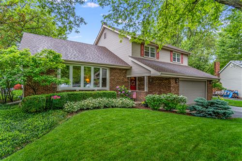 5S522 Bonnie, Naperville, IL 60563