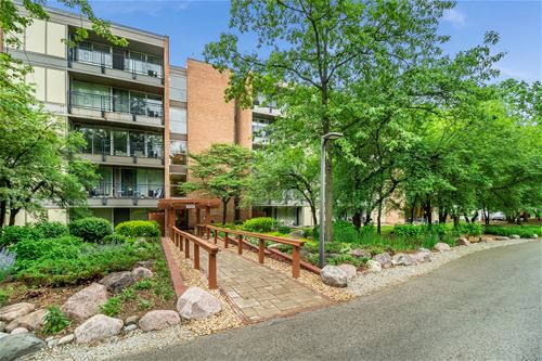 6020 Oakwood Unit 1A, Lisle, IL 60532