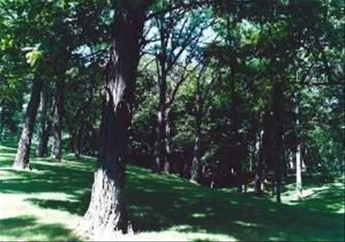 Lot 3 Oak Shadows, St. Charles, IL 60175