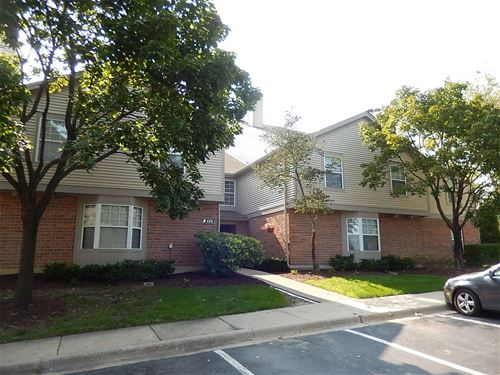 123 Willow Brook Unit 2, Schaumburg, IL 60195