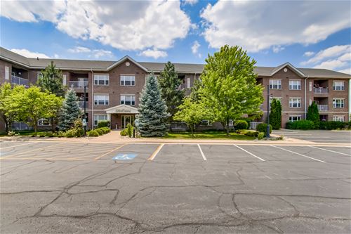 10 N Gilbert Unit 316, South Elgin, IL 60177