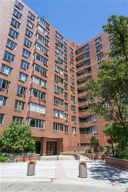 801 S Plymouth Unit 805, Chicago, IL 60605