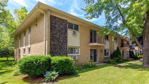 531 Carlysle Unit 11, Clarendon Hills, IL 60514