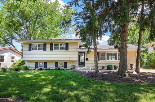 553 Spruce, Naperville, IL 60540