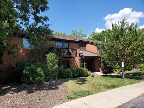 33561 N Royal Oak Unit 206, Wildwood, IL 60030