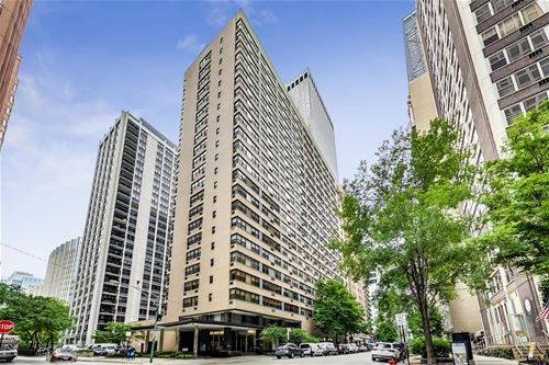 850 N Dewitt Unit 8G, Chicago, IL 60611