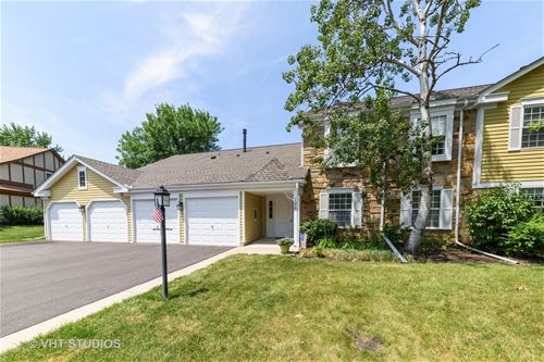 126 Cleveland Unit N2, Schaumburg, IL 60193