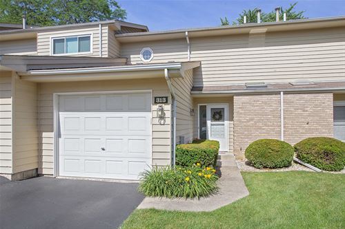 313 Arbor Hill Unit 0, New Lenox, IL 60451