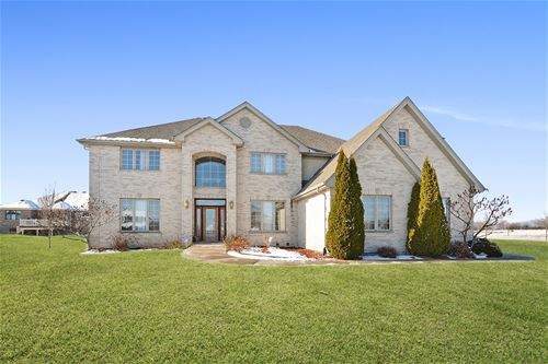 21230 Coneflower, Mokena, IL 60448