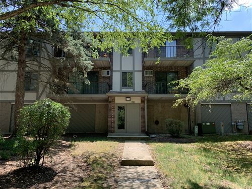 528 E Bailey Unit 102, Naperville, IL 60565