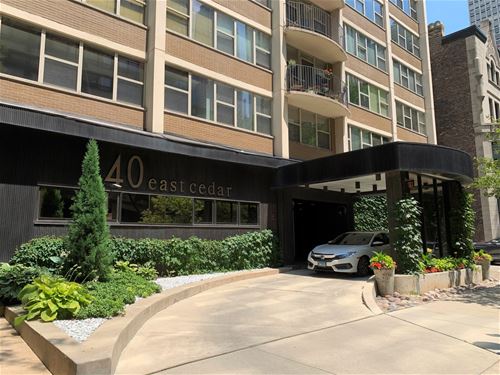 40 E Cedar Unit 12B, Chicago, IL 60611