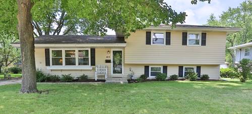 413 W Gartner, Naperville, IL 60540