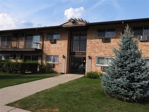 838 E Old Willow Unit 205, Prospect Heights, IL 60070