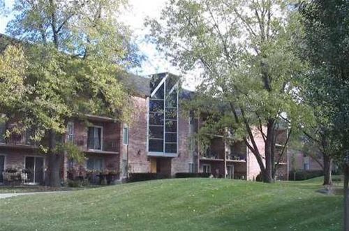 1041 N Mill Unit 102, Naperville, IL 60563