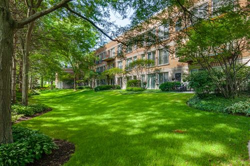 119 E Laurel Unit 202, Lake Forest, IL 60045