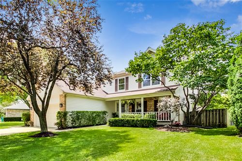 56 E Fabish, Buffalo Grove, IL 60089