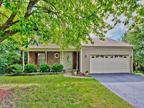 999 Split Rail, Carol Stream, IL 60188