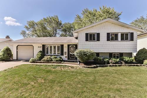 537 Janine, Schaumburg, IL 60193