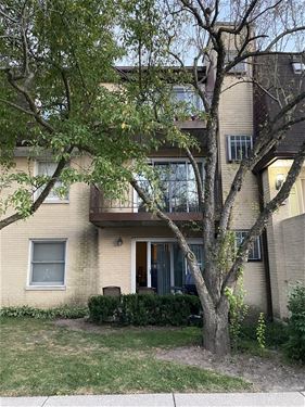 802 N River Unit 2A, Mount Prospect, IL 60056