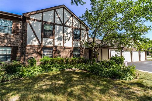 368 Southbury Unit B1, Schaumburg, IL 60193