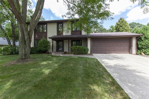 973 W Bauer, Naperville, IL 60563