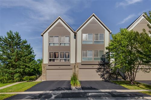 613 Diamond Pointe, Mundelein, IL 60060