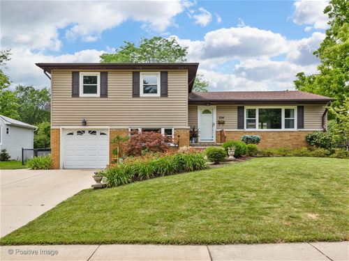 224 N Boynton, Palatine, IL 60074