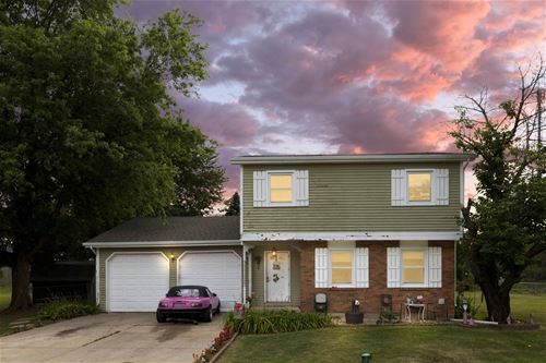 11211 Anvil, Naperville, IL 60564