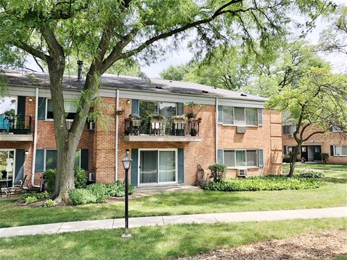 711 E Falcon Unit 201, Arlington Heights, IL 60005