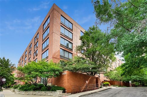 1169 S Plymouth Unit 304, Chicago, IL 60605